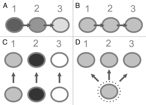 Figure 4. Some (theoretical) immune cell patterns across repeated resections and treatments (time points 1–3) and the hypothetical founding tumor cell(s). Shading of circles indicates T cell density (light: low density – black: high density). A) shows the sequence estimated from clonal selection: the initial T cell rich phenotype disappears over time and the chemotherapy-resistant tumor cells recur. B) depicts the sequence as also observed in this work, showing a consistent immune cell pattern over time and after treatments (with repopulation occurring from the same metastatic site). C) is assuming that the metastatic site is re-populated by different tumor cells from different other tumor sites, inducing distinct microenvironmental conditions. D) shows the hypothetical explanation for a consistent immunologic phenotype over time as there is a “protected environment“ for the founding tumor cell where chemotherapy cannot induce a selection.