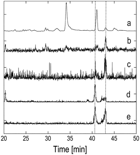 Fig. 3. TIC and mass chromatogram charts of compound 4 derived from natural 1 and stereo-controlled synthetic products 4 derived from industrial VK1. The TIC chart for (a) 4 derived from the natural product. Mass cromatograms at m/z 283 for 4 derived from the (b) natural product, (c) synthetic (4S)-4, (d) synthetic (4R)-4 and (e) synthetic (4RS)-4. The chart of (a) was integrated three times (n = 3) and smoothed using a seven-point weighted moving average.