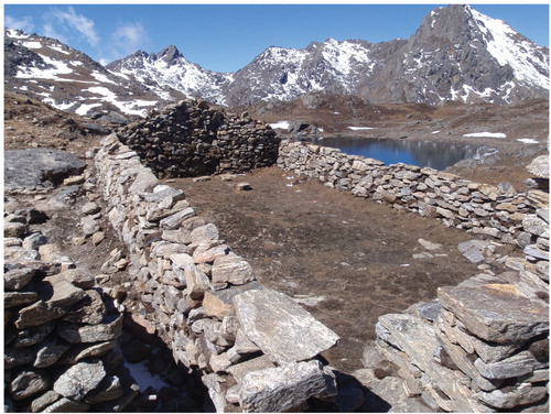 FIGURE 17. Roofless stone huts (called kharkas) are common between Shin Gompa and Phedi, especially in the vicinity of Gosaikund (Fig. 3). Many of the stones are cut, although they lack the elaborate carvings found on the mani walls between Ghoratabela and Kyanjin Gompa (Fig. 4). Although the roofless stone huts are rebuilt annually, there is probably a foundation that is rarely rebuilt.