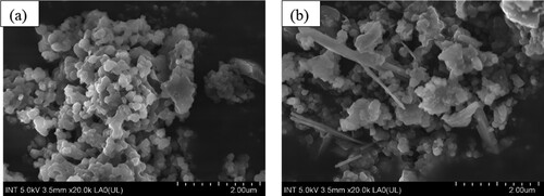 Figure 3. The FE-SEM images of (a) ZIF-8 and (b) ZIF-8/AC.