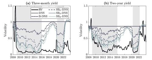 Figure 5 Three-month ahead realized and model-implied conditional volatility series of yields in the post-GFC period based on 10,000 simulations at each time t from the DNS model and its (smooth) shadow-rate versions with shaded ZLB periods.