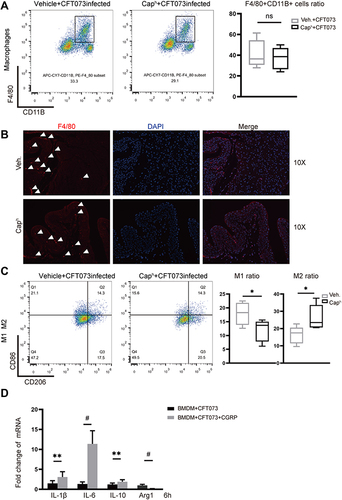 Figure 4 Continued.