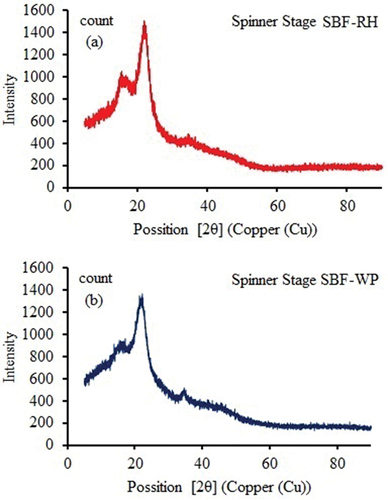 Figure 14. XRD analysis.