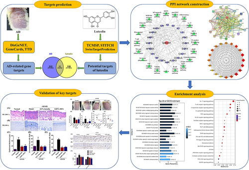 Figure 1 Flowchart of the current research study.