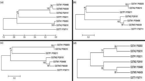 Figure 2. Phylogenetic analysis of seven human glutathione S-transferase isoforms using four different methods: (a) Unweighted pair-group mean average (UPGMA), (b) Neighbour-joining (NJ), (c) Minimum evolution (ME) and (d) Maximum parsimony (MP). Each isoform’s UniProt accession number is also shown.