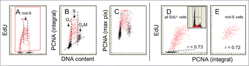 Figure 5. Relationship between expression of PCNA and EdU incorporation. The cells were exposed to EdU for 60 min and similar as in the prior figures (Figs. 1–4) the EdU-labeled cells were gated, colored red (A) and analyzed with respect to their expression of PCNA as measured by the integral (B) or maximal pixel (C) intensity of nuclear fluorescence. The PCNA-negative cells are below the dashed skewed line. Note striking similarity between the patterns of EdU incorporation (A) and PCNA expression (B) in relation to DNA content. All cells that incorporate EdU are expressing PCNA. The cells just initiating DNA replication have minimal expression of PCNA. Among the mid-S phase cells that all were exposed to EdU for full 60 min (E) the correlation between expression of PCNA and the amount of incorporated EdU is relatively strong (r = 0.72) and similar (r = 0.73) when assessed for all EdU-incorporating cells. The DNA frequency histogram of these cells is shown in (D).