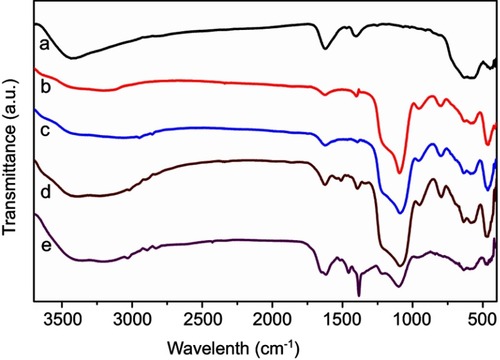 Figure 2 FTIR spectra of (a) Fe3O4 MNPs, (b) silica-coated MNPs, (c) amino-functionalized MNPs, (d) gallic acid-modified MNPs, (e) gallic acid−formaldehyde resin-grafted MNPs.