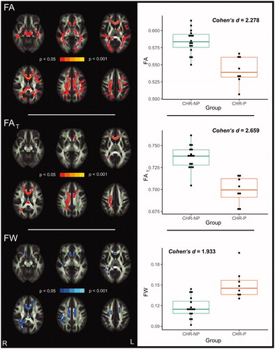 Figure 1. White matter alterations in CHR-P compared to CHR-NP (pFWE < 0.05). Global FA reductions in CHR-P comparing to CHR-NP appear to be explained both by FAT reductions and FW increases in CHR-P as there is a considerable overlap between significant clusters (left panels). Diffusion measures averaged across corresponding significant clusters are presented as boxplots on the right.Note: CHR: clinical high-risk for psychosis, CHR-P: CHR individuals who developed psychosis, CHR-NP: CHR individuals who did not develop psychosis, FA: fractional anisotropy, FAT: fractional anisotropy of the tissue, FW: free-water