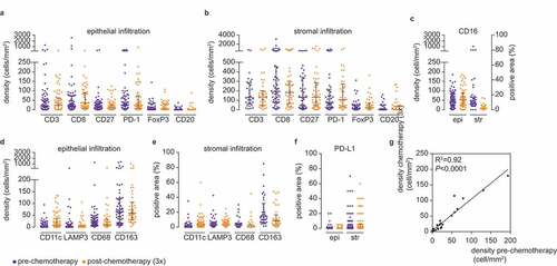 Figure 2. Immune cell distribution is comparable between pre- and post-chemotherapy tumors. (a) Epithelial infiltration of CD3+, CD8+, CD27+, PD1+, FoxP3+, and CD20+ cells in pre- and post-chemotherapy tumors. Density is defined as cells/mm2. (b) Stromal infiltration of CD3+, CD8+, CD27+, PD1+, FoxP3+, and CD20+ cells in pre- and post-chemotherapy tumors. Density is defined as cells/mm2. (c) Epithelial and stromal infiltration of CD16+ cells in pre- and post-chemotherapy tumors. Epithelial infiltration was determined by density in cells/mm2, stromal infiltration was determined by the percentage of positive area. (d) Epithelial infiltration of CD11 c+, LAMP3+, CD68+, and CD163+ cells in pre- and post-chemotherapy tumors. Density is defined as cells/mm2. (e) Stromal infiltration of CD11 c+, LAMP3+, CD68+, and CD163+ cells in pre- and post-chemotherapy tumors. Stromal infiltration is determined by the percentage of positive area. (f) Epithelial and stromal infiltration of PD-L1+ cells in pre- and post-chemotherapy tumors. Infiltration was determined by the percentage of positive area. (a–f) Representative samples are depicted in supplementary figure S5. Differences in the number of tumor-infiltrating immune cells on FFPE slides were determined by two-tailed Mann Whitney test. N-numbers are described in supplementary table S3 C. G, Median immune cell density of all epithelial and stromal immune cells depicted in a–f. Comparability between pre- and post-chemotherapy tumors was determined by a Pearson correlation test. R2 = 0.92, <0.0001.