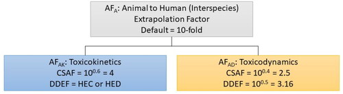 Figure 1. Subdivision of AFA for the development of CSAFs/DDEFs. The composite adjustment factor for animal to human extrapolation (AFA) is divided into a factor for kinetics (AFAK) and dynamics (AFAD), which are combined in the derivation of a chemical specific adjustment factor (CSAF) or data derived extrapolation factor (DDEF). In this way, data for kinetics and dynamics can be incorporated individually based on available data. There are slight regulatory differences in this subdivision, where the International Programme for Chemical Safety (IPCS) utilizes uneven subdivision (kinetics = 4, dynamics = 2.5) and the US Environmental Protection Agency (US EPA) utilizes even subdivision of the defaults to 3.16, while allowing for utilization of a human equivalent dose (HED) for kinetics. CSAF: chemical specific adjustment factor; DDEF: data derived extrapolation factor; HEC: human equivalent concentration; HED: human equivalent dose.