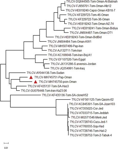 Fig. 3 Phylogenetic tree based on complete genome sequences showing the relationships between tomato yellow leaf curl virus (TYLCV) isolates and revealing clades/sister.