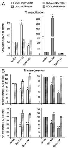 Figure 3. CpdA does not affect GR transactivation but induces GR transrepression in transformed lymphoid cells. CEM and NCEB cells stably infected with lentiviruses expressing luciferase reporters GRE.Luc (A), NFkB.Luc or AP1.Luc cells (B) were incubated for 8 h with solvent (Control), Dex or CpdA. Luciferase activity was determined as described in “Materials and Methods.” Statistically significant difference (*p < 0.05; ** p < 0.01) between Dex (or CpdA)- and solvent-treated cells.