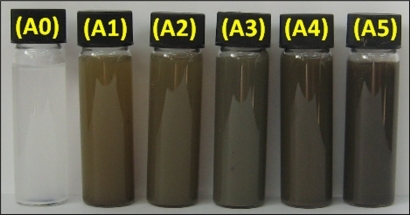 Figure 2 Photograph of AgNO3/zeolite (A0) and Ag/zeolite nanocomposites at different AgNO3 concentrations: A1 0.5%, A2 1.0%, A3 1.5%, A4 2.0%, and A5 5.0%.