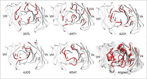 Figure 1. The antigen-contacting residues on the structures of 5 RabMAbs in the PDB. An antigen-contacting residue (highlighted in red) contains at least one atom that is ≤ 6 Å away from an atom on the antigen (not shown). The approximate locations of CDRs are labeled. Aligned: RabMAbs are structurally aligned with 2×7L by Dali pairwise comparison and visualized by Chimera.