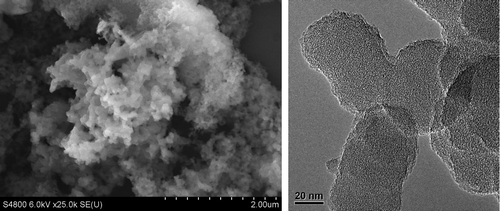 Figure 4. SEM (left) and TEM (right) images of HCP-TCPP.