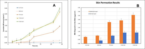 Figure 6 (A) Ex vivo drug permeation profiles of meloxicam (MX)-loaded liposomal gel formulations over 24 hours; (B) MX deposited in the different layers of skin after 24-hour skin permeation study from formulations tested (n= for each formulation, data are presented as means±SD).
