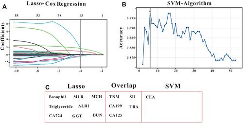 Figure 2 Selection of significant indexes associated with early recurrence of CRC patients. (A) LASSO Cox regression model. (B) Support vector machine model. (C) The overlapping features identified by the two models.