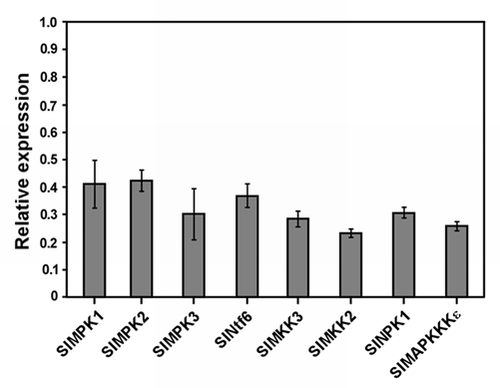 Figure 1 Silencing efficiency of genes encoding selected components of MA PK cascades in Hawaii 7981 tomato plants. Plants were infected with Agrobacterium tumefaciens containing a TRV vector either empty or carrying fragments of the following target genes: SlMPK1, SlMPK2, SlMPK3, SlNtf6, SlMEK1, SlMKK2, SlNPK1 and SlMAPKKKε (oligonucleotides and gene fragments used for silencing are available upon request). Relative expression of each target gene was determined by qRT -PCR in silenced plants relative to plants infected with the empty TR V vector. Values are the average of six independent plants silenced in two independent experiments ±SE.