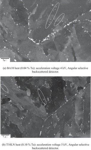 Figure 4. FE-SEM BEI image [Citation29]. (a) BA10 heat (0.04% Ta): acceleration voltage 4 kV, angular selective backscattered detector; (b) T10LN heat (0.10% Ta): acceleration voltage 5 kV, angular selective backscattered detector.