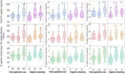 Figure 3. Effect of foliar application of urea and irrigation scheduling on N uptake by grain, haulm, and total N uptake (A); P uptake by grain, haulm, and total P uptake (B); and K uptake by grain, haulm, and total K uptake (C) pooled for two years (2020 and 2021).N1: Foliar spray of urea (2%) at the flowering stage, N2: Foliar spray of urea (2%) at the pod formation stage, N3: Foliar spray of urea (2%) at the flowering and pod formation stages, I1: Vegetative/branching stage, I2: Vegetative/branching + pod formation stage, I3: Flowering stage + pod formation stage. LSD post hoc test was applied, and the use of similar lowercase letters within a column signifies that there is no statistically significant difference at the 0.05 level of probability.