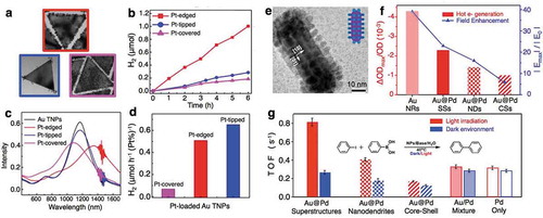 Figure 5. Increased plasmon catalysis upon partial shelling. (a) TEM images of Au triangular nanoprisms (TNP) with edge lengths of 141 nm shelled with Pt at either the edges (red), tips (blue), or all over (pink). (b) The overall H2 generation over the three core-shell particles under visible-NIR light irradiation (>420 nm). (c) The measured extinction spectra of the three geometries. (d) The H2 generation rate (from (b)) normalized by the amount of Pt on each geometry. (e) TEM image of a Au@Pd superstructure. (f) The measured hot electron generation and computed maximum electric field enhancement across pure Au nanorods and three different shell geometries (superstructure, nanodendrites, and continuous core-shell). (g) The turnover frequency of a Suzuki-coupling reaction for various nanoparticle geometries and mixtures under dark and illumination conditions. (a-d) Adapted with permission from [Citation80]. Copyright 2016 American Chemical Society; (e-g) Adapted with permission from [Citation22]. Copyright 2017 American Chemical Society.