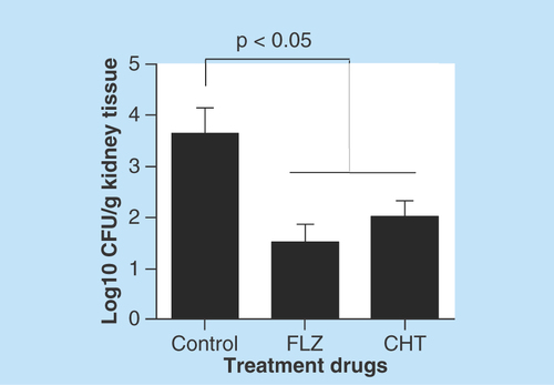 Figure 6.  Evaluation of 2-(2-(cyclohexylmethylene)hydrazinyl)-4-phenylthiazole treatment in murine model of systemic candidiasis.Recovery of colony-forming units from kidneys from female C57BL/6 mice infected with Candida albicans SC5314 (105 yeasts) and treated 2-(2-(cyclohexylmethylene)hydrazinyl)-4-phenylthiazole and fluconazole. Statistical analyses were performed by Newman–Keuls multiple comparison test. Results were expressed as mean ± standard error of the mean.CFU: Colony-forming unit; CHT: 2-(2-(cyclohexylmethylene)hydrazinyl)-4-phenylthiazole; FLZ: Fluconazole.