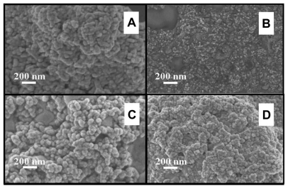 Figure 5 FESEM images of nano-HAP powder samples thermally treated in a microwave oven at various power settings (A) 20%, (B) 60%, (C) 80%, and (D) 100% (scale bars shown in each image).Abbreviations: FESEM, field emission scanning electron microscopy; HAP, hydroxyapatite.