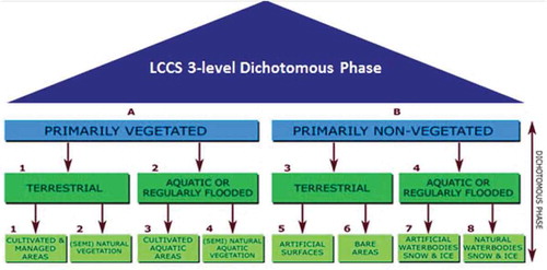 Figure 1. The fully nested 3-level 8-class FAO Land Cover Classification System (LCCS) Dichotomous Phase (DP) layers are: (i) vegetation versus non-vegetation, (ii) terrestrial versus aquatic, and (iii) managed versus natural or semi-natural. They deliver as output the following 3-level 8-class FAO LCCS-DP taxonomy. (A11) Cultivated and Managed Terrestrial (non-aquatic) Vegetated Areas. (A12) Natural and Semi-Natural Terrestrial Vegetation. (A23) Cultivated Aquatic or Regularly Flooded Vegetated Areas. (A24) Natural and Semi-Natural Aquatic or Regularly Flooded Vegetation. (B35) Artificial Surfaces and Associated Areas. (B36) Bare Areas. (B47) Artificial Waterbodies, Snow and Ice. (B48) Natural Waterbodies, Snow and Ice. The general-purpose, user- and application-independent 3-level 8-class FAO LCCS-DP taxonomy is preliminary to a user- and application-specific FAO LCCS Modular Hierarchical Phase (MHP) taxonomy of one-class classifiers (Di Gregorio & Jansen, Citation2000), refer to Figure 3 in the Part 1 of this paper.