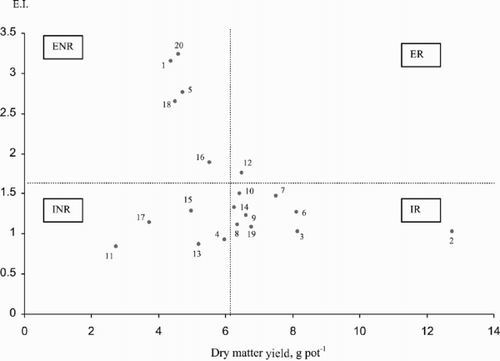 Fig. 2. Classification of bread and durum wheat genotypes according to the EI (efficiency index at the P-0 level) and the maximum dry matter (at the 40 or 80 mg kg−1 P levels). ER; efficient-responsive, ENR: efficient non-responsive, IR: inefficient responsive, INR: inefficient non-responsive.