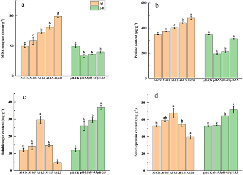 Figure 2. Effect of acid and aluminum stress on the content of MDA and osmoregulatory substances in S. davidii seedlings. Different lowercase letters in the same treatment group indicate significant differences (p < .05).