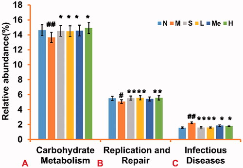 Figure 6. Comparison of metabolic function prediction of intestinal flora from TIV-treated CUMS mice and control group. (A) Relative abundance of carbohydrate metabolism. (B) Relative abundance of replication and repair functions. (C) Relative abundance of infectious diseases in mice. Data are reported as mean ± SD. # p < 0.05 and ## p < 0.01 vs. the normal group. *p < 0.05 and **p < 0.01 vs. the model group. N: normal; M: model; S: fluoxetine; L: TIV-L; Me: TIV-M; H: TIV-H (n = 3 per group).