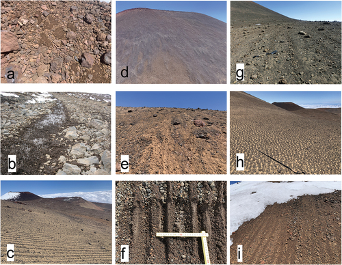Figure 15. Geomorphologic features at the summit area. (a) Nonsorted circles (frost boil) at clay-rich crater floor. (b) Needle ice along the stripes at base of Pu’uhaukea on 6 February 2011. Image credit: OMKM Ranger. (c) Stone stripes. (d) Gelifluction slope of north-facing cone. (e) Active layer detachment at steep slopes. (f) Heterogeneous frozen table just beneath stripes. The frost table is deeper at the sections with bigger pebbles. (g) Unusual larger (1-m intervals) stripes. (h) Small patterned ground at flat area with needle ice. (i) Stripes and moisture source.