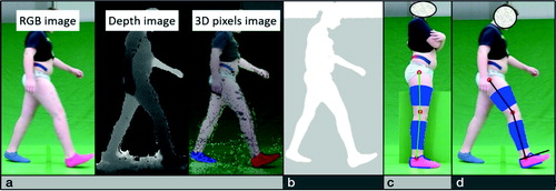 Figure 2. Procedures needed for the estimation of the knee flexion and extension angles with the 2-dimensional markerless video system: image pre-processing calibration (a), segmentation (b), participant-specific multi-segmental model (c), and joint-center tracking (d).