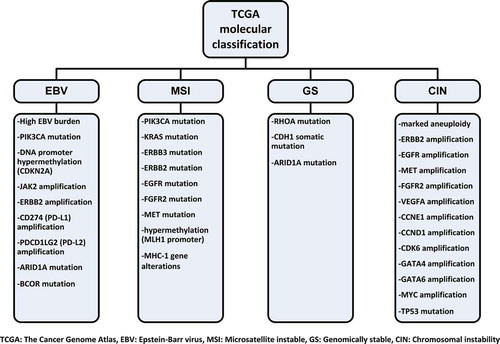 Figure 1. Potential molecular targets according to TCGA molecular classification.