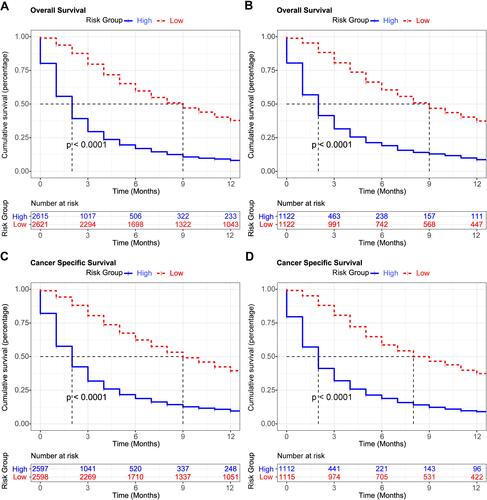 Figure 5 Patients in the high-risk group exhibited a worse prognosis than those in the low-risk group in the training set for OS of NSCLC with BM (A), and the validation set for OS of NSCLC with BM (B), for CSS in the training set of NSCLC with BM (C), and for CSS (D).