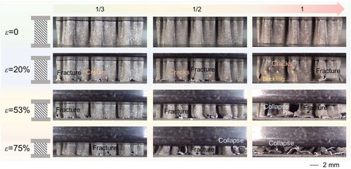 Figure 10. Snapshots of the tested LPBF-processed double-asymmetric honeycombs at various compressed strains.