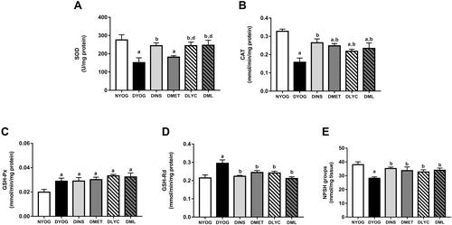 Figure 4 Antioxidant defenses in liver of streptozotocin-induced diabetic rats treated for 35 days with yoghurt enriched with lycopene, alone or in combination with metformin. Activities of the enzymes SOD (A), CAT (B), GSH-Px (C), and GSH-Rd (D), levels of NPSH groups (E). Values are expressed in terms of mean ± standard error of the mean (SEM), n = 10. Differences between groups were analyzed using one-way ANOVA followed by the Student-Newman-Keuls test (p < 0.05): aDifferences to NYOG; bDifferences to DYOG; ddifferences to DMET.Abbreviations: NYOG, normal rats treated with yoghurt; DYOG, diabetic rats treated with yoghurt; DINS, diabetic rats treated with 4U/day insulin; DMET, diabetic rats treated with 250 mg/kg metformin in yoghurt; DLYC, diabetic rats treated with 45 mg/kg lycopene in yoghurt; DML, diabetic rats treated with 250 mg/kg metformin + 45 mg/kg lycopene in yoghurt.