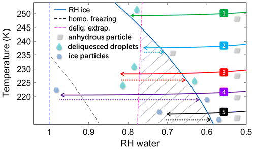 Fig. 1. NaCl–water phase diagram in temperature-RHw space. The blue solid curve represents ice saturation (Johari et al., Citation1994; Koop et al., Citation2000b) and the pink dash-dotted line represents the DRH extrapolated from measurements at higher temperatures (>278 K) (Tang and Munkelwitz, Citation1993). Notes: The black dashed line is the homogeneous freezing line from Koop et al.(Citation2000a), for droplets between 1 and 10 μm. The solid and dotted lines 1-5 correspond to experimental trajectories, where the solid portions depict the experimental exposure entering the CFDC main chamber and dashed portions represent the return to ice saturation that occurs within the evaporation section of the CFDC.