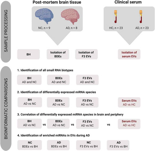 Figure 1. Pipeline showing the bioinformatics comparisons performed in this study.