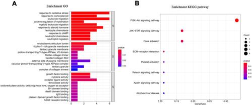 Figure 5 Functional enrichment and Protein–protein interaction network. (A) GO pathways enrichment analysis of AD and OSA shared genes. The length of the bar represents the number of genes, and the color change of the bar corresponds to different P values. The first 10 significantly enriched GO annotations of cellular component, biological process, molecular function. (B) Bubble plots of the first 8 significantly enriched KEGG pathways.