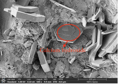 Figure 11. Shape of self-healing products around basalt fibres inside the fracture.
