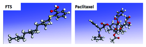 Figure 13. The 3D structures of sirolimus and paclitaxel. The various atoms are presented by colors as follows: H, white; C, gray; O, red; N, blue; S, yellow.135