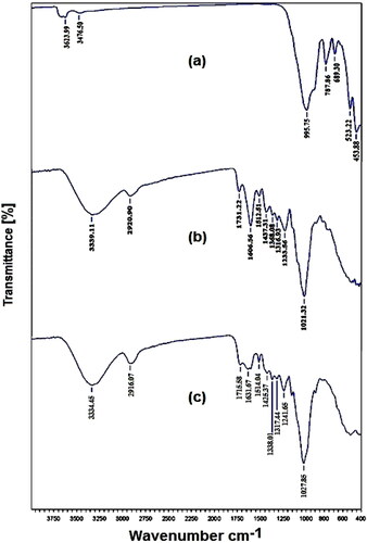 Figure 3. Fourier transform infrared spectra of tree materials. (a) Pyrophyllite (PY); (b) corn cob powder calcined (CCPC); (c) walnut shells powder (WSP).