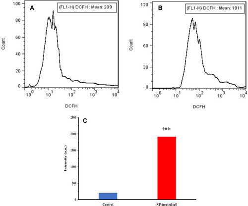 Figure 7 ROS assay of (A) control K562 cells, (B) treated K562 cells incubated with IC50 concentrations of Co3O4 NPs, (C) statistical analysis histogram. ***P<0.01 relative to negative untreated cells.