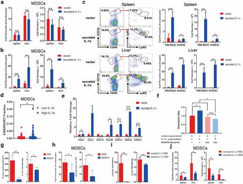 Figure 3. Tumoral-secreted IL-1α increases MDSCs in vivo.