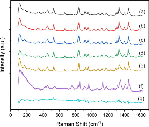 Figure 5. Raman spectra of leucine particles spray dried from (a) 0.25/0.75 w/w water/ethanol at 20 °C, (b) 0.25/0.75 w/w water/ethanol at 80 °C, (c) 0.5/0.5 w/w water/ethanol at 20 °C, (d) 100% water at 80 °C, and spectra for (e) reference crystalline leucine, (f) reference amorphous leucine, and (g) residual spectrum achieved by subtracting reference crystalline leucine from the spectrum of leucine particles spray dried from 0.25/0.75 w/w water/ethanol at 20 °C.