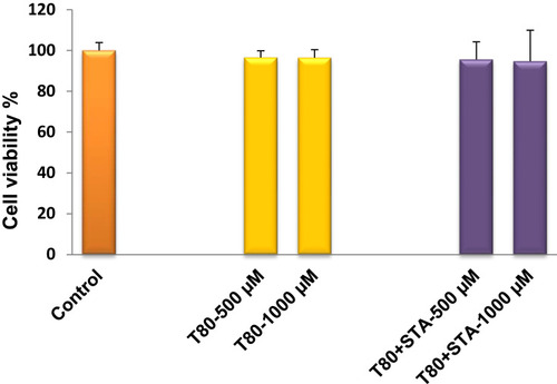 Figure 7 Cell viability of Caco-2 after 3 hours incubation with T80 and T80-STA niosomes (mean ± SD, n = 3).