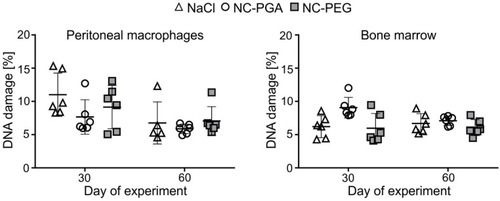 Figure 5 Comet assay of DNA damage after exposure of animals to 8 doses of polyelectrolyte nanocapsules.Notes: Bone marrow and peritoneal cells were collected on 30th or 60th day of the experiment. Each point in graphs represents an individual mouse. The line for each group represents the mean ± SD (n=6). The percentage of DNA in the comet tail (% DNA damage) was determined from two slides per sample with 50 randomly selected cells per slide.