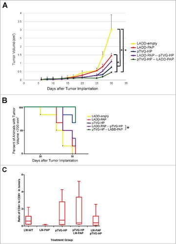 Figure 1. Prime/boost immunization using Lm- and DNA-based vaccines elicits significant antigen-specific anti-tumor response. Six- to ten-week old A2/DR1 mice were implanted with sarcoma tumors expressing PAP. One day after tumor implantation, mice were immunized weekly with 1× 106 cfu LADD-empty (yellow), 1× 106 cfu LADD-PAP (red), 100 µg pTVG-HP (blue), 1× 106 cfu LADD-PAP once followed by weekly immunization with 100 µg pTVG-HP (purple), or 100 µg pTVG-HP once followed by weekly immunization with 1× 106 cfu LADD-PAP (green). Tumor volumes were measured three times a week. Panel A: Shown is the average tumor volume (cm3) +/- SE for each group at each time point. * = p < 0.05 at day 30. Panel B: The same data are shown as time to progression, defined as tumor size ≥ 700 mm3. * = p < 0.05 (log-rank test). Panel C: Tumors collected from these mice were evaluated for CD4+ and CD8+ T cell subsets by flow cytometry. Shown are the CD4:CD8 T cell ratios for each group. Results shown are from one study with 6 animals per group, and are representative of 2 experiments performed with 12 total animals per group.