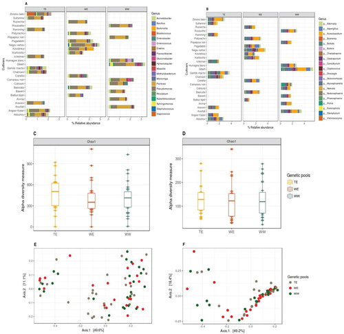 Figure 3. Relative abundances of (A) bacterial and (B) fungal genera present on each cultivar, grouped within their genetic pools (9 cultivars per genetic pool, top 20 taxa, characterized to the genus level and datasets were rarified to 5000 sequence reads per sample). Chao1 estimates of α-diversity for (C) bacterial and (D) fungal data-sets for three genetic pools. PCoA plots using Bray-Curtis distance between samples for (E) bacterial and (F) fungal data-sets among three genetic pools, explaining >60% variations with first two axes (taxa with variance < 1e-05 were trimmed).